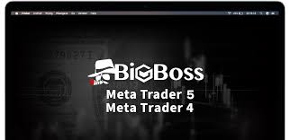 BigBoss
